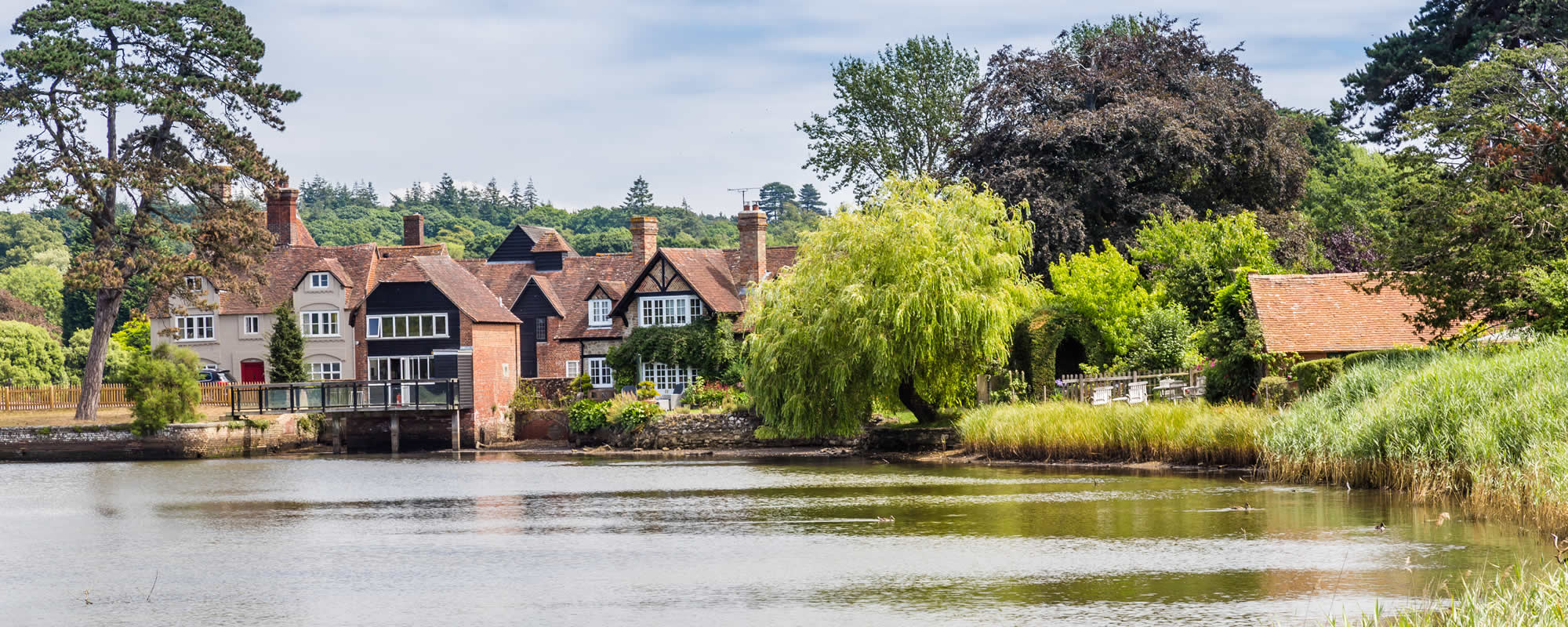 Surveyor in Andover