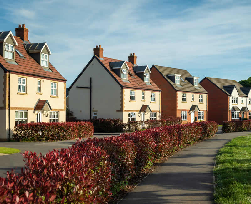 Home survey report Ashford