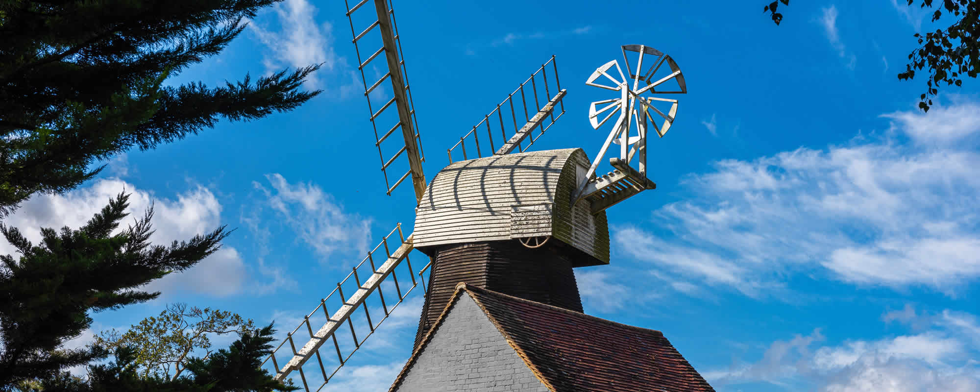 Surveyor in Ashford