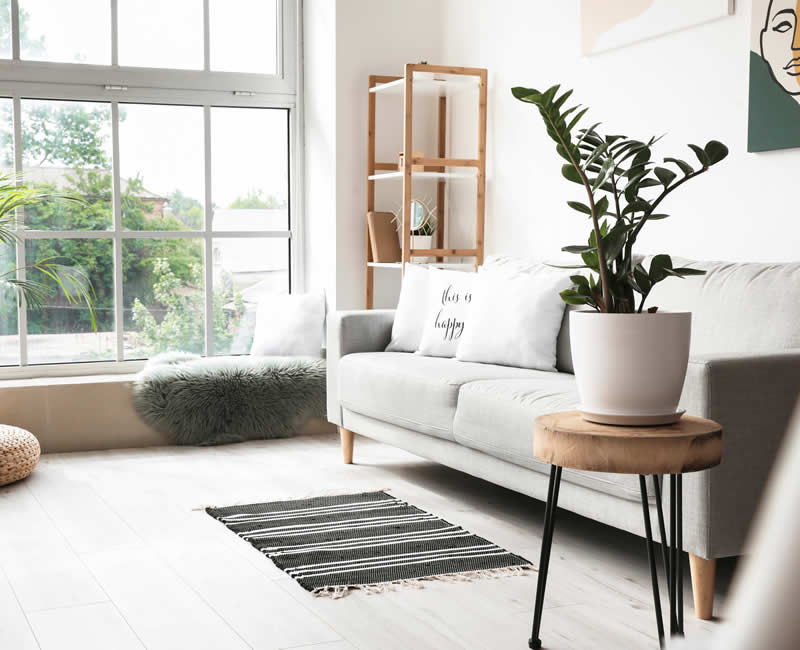Home Surveys - Bridgwater