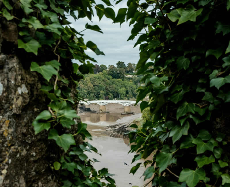 Home Surveys - Chepstow