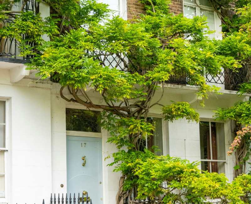 Valuation Survey Cwmbran