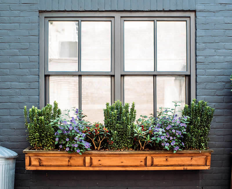 RICS Homebuyers Survey Report, Dover