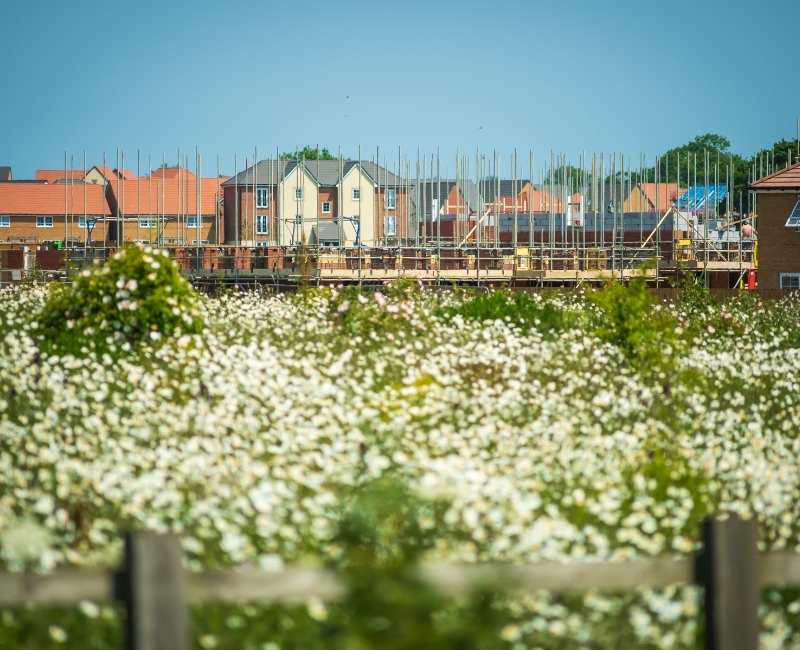 Local surveyors Harlow