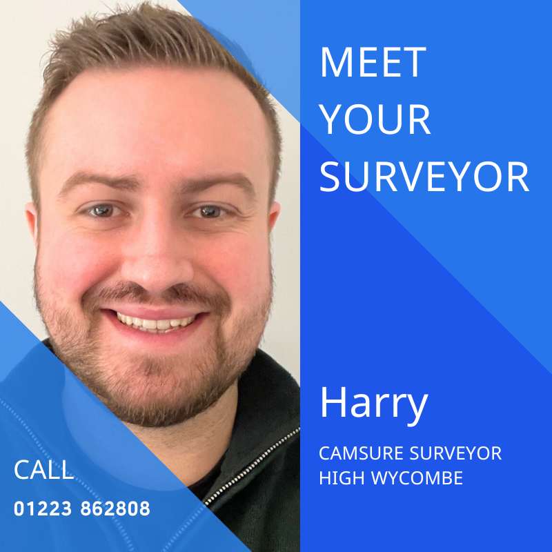 Surveyor Harry Johnson profile