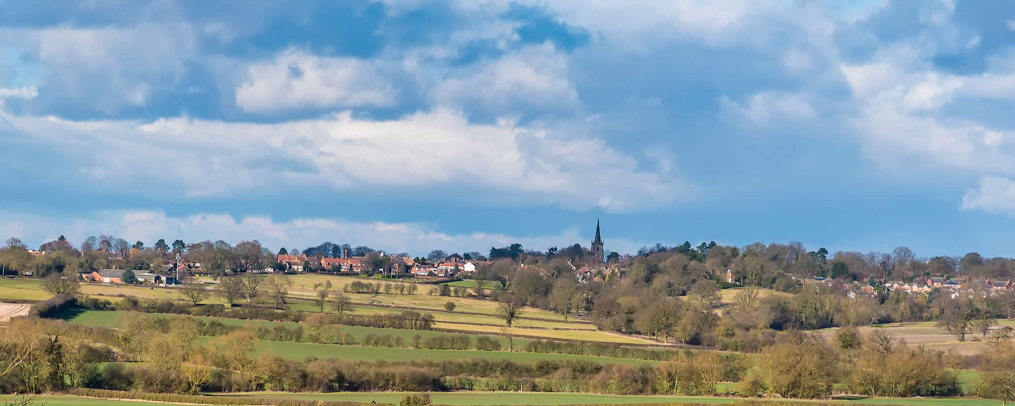 Home Surveys - Hinckley