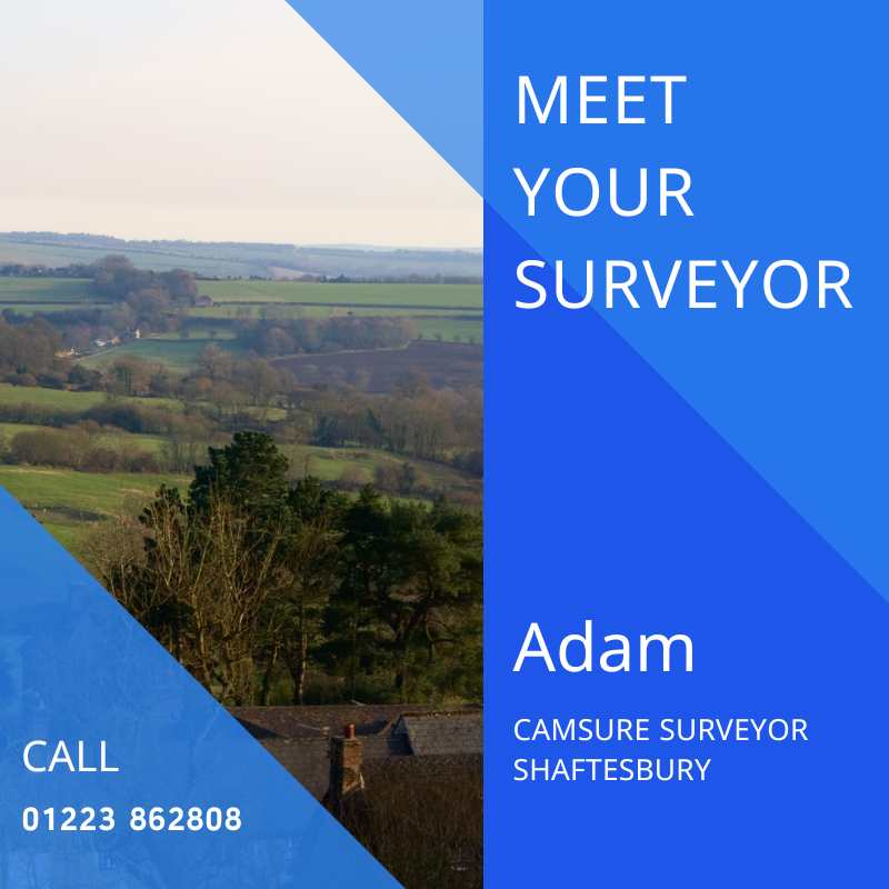 Property surveyors in Shaftesbury