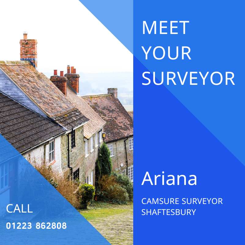 Professional surveyor in Shaftesbury