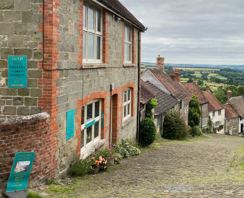 Home survey report Shaftesbury