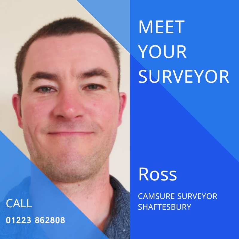 Local Shaftesbury surveyors