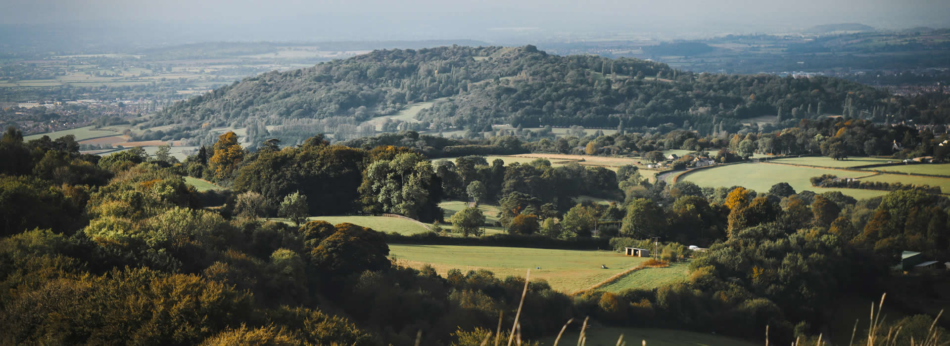 Stroud RICS surveyors