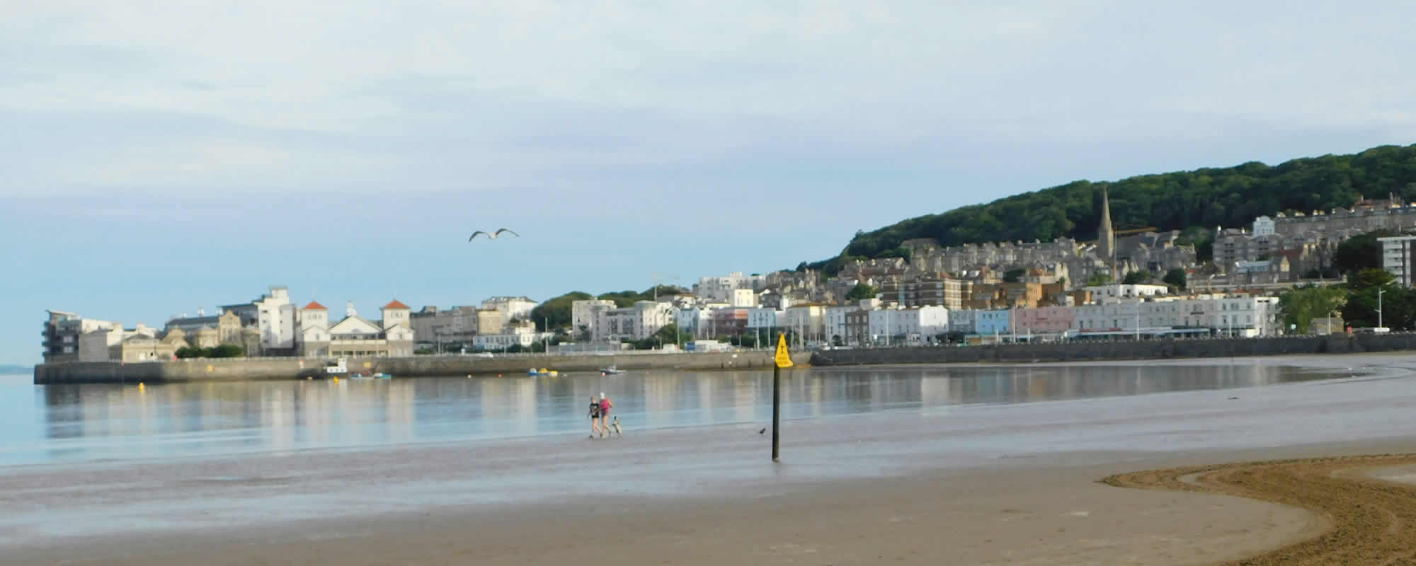 Surveyor in Weston-super-Mare
