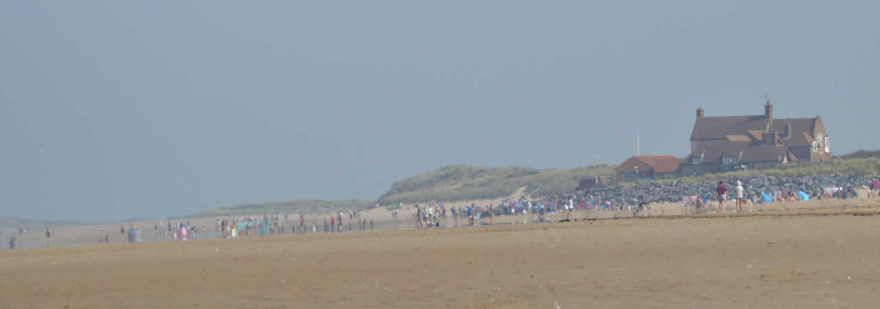 Surveyor in King's Lynn, Kent