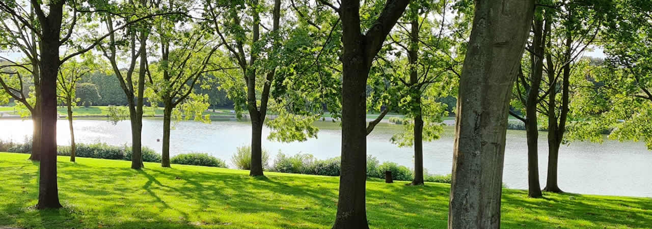 Why live in Stevenage