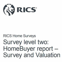 What does a Homebuyer Report look like