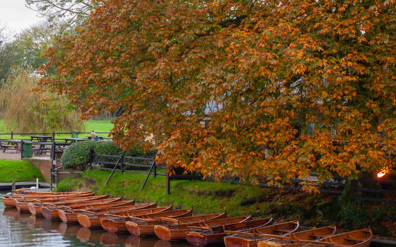 Surveyor in Colchester, Essex