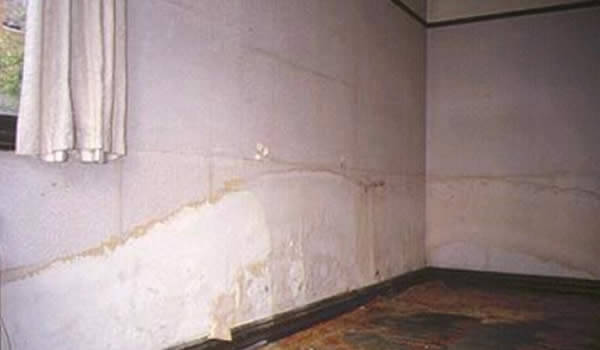 Evidence of rising damp