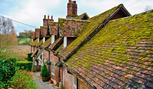 Pitched roof with tile covering