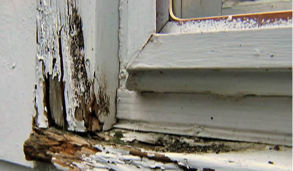 Window and door styles in a residential property