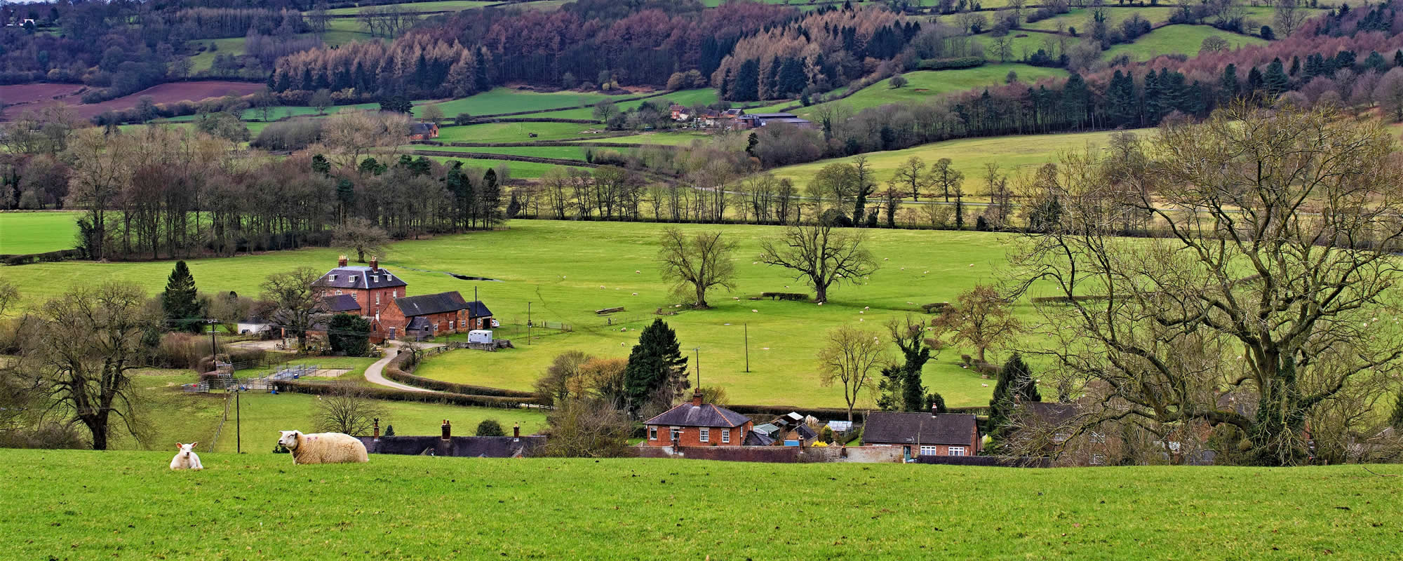 Home survey report Ashbourne